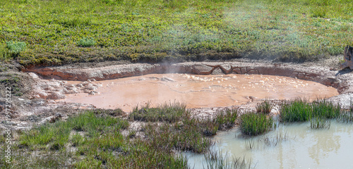 Wallpaper Mural Bubbling Geothermal Mud Pool pool, Yellowstone Park. Wyoming, USA Torontodigital.ca
