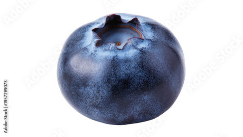 Fotografie Fresh ripe blueberry with natural bloom, a single dark blue berry, healthy fruit