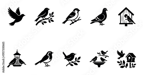 A collection of black and white silhouette icons featuring various birds in natural settings, including flying, perching on branches, and interacting with birdhouses and feeders.