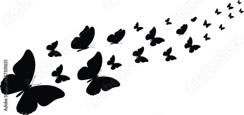 Flying butterfly silhouettes swarm composition nature insect flight pattern decorative vector illustration isolated on white background