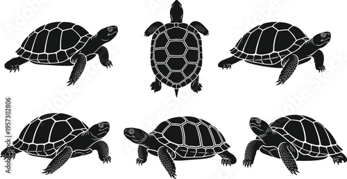 Sea turtle silhouette collection set, marine reptile wildlife illustrations, swimming turtle vector icons isolated, ocean animal black silhouette bundle