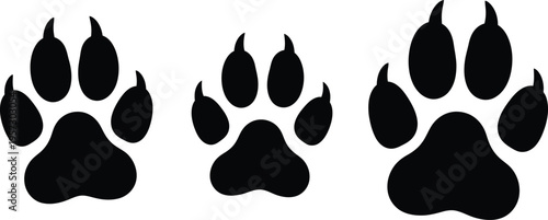 Animal Paw Prints Silhouettes Dog Track Footprint Vector
