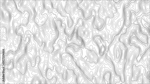 Topography background. Vector banner. Topography map background. Vector geographic contour map. 