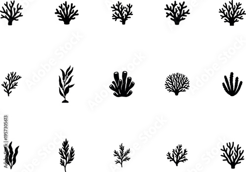 coral reef and seaweed silhouettes set, underwater marine plants and ocean reef organisms collection, black aquatic nature vector illustration isolated on transparent background
