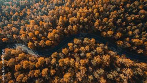 Winding road through autumn forest with golden foliage seen from above, serpentine highway surrounded by vibrant fall trees