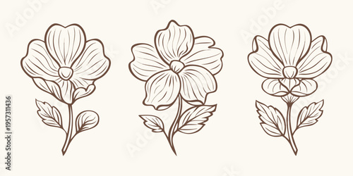 Elegant floral arrangement featuring three sketched hibiscus blooms