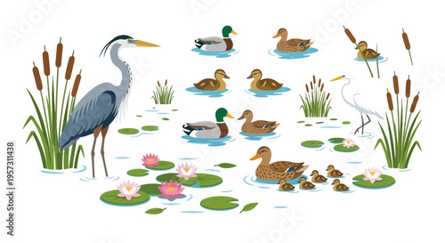 A tranquil scene featuring herons ducks and ducklings in a wetland habitat