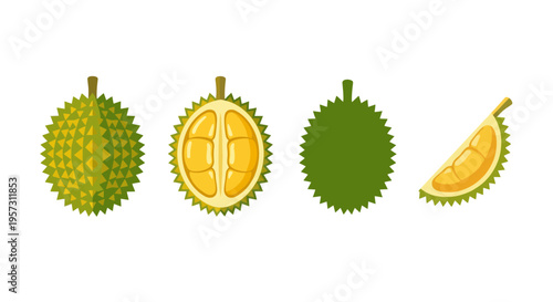 Four durian illustrations showing whole fruit and cut sections