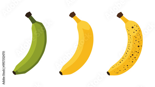 Banana Ripening Stages Vector Illustrations Set Isolated on White Background, Green, Yellow, and Spotted Banana for Food, Healthy Eating, and Nature Design Projects