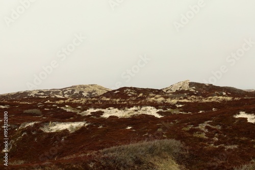 Landscape of the island of Sylt. North Sea. Germany.