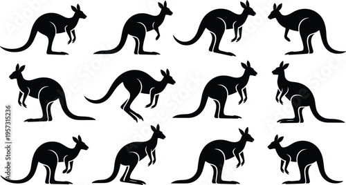 Kangaroo silhouettes, marsupial animal set, jumping kangaroo vector collection, wildlife illustration, Australian animal, black silhouettes, animal poses, nature design, isolated vector set