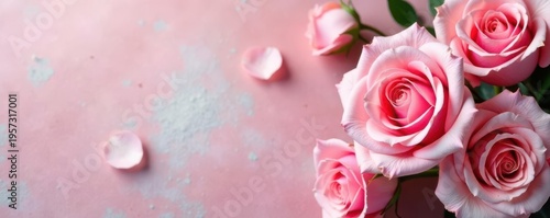 Pastel pink rose arrangement, copy space Perfect for festive occasions , love, pink roses