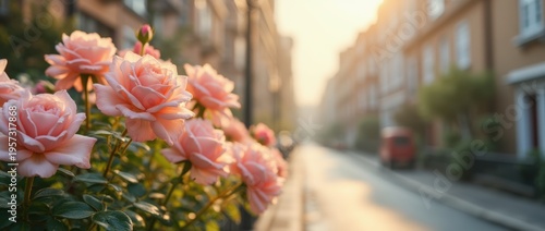 Blooming pastel roses along a quiet urban street in soft spring sunlight, creating a romantic city scene with delicate petals and calm seasonal charm.

