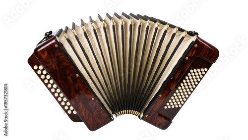 Canvastavla Elegant vintage button accordion musical instrument with shiny brown casing and