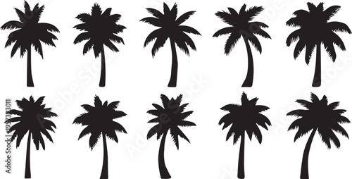 Collection of Black Palm Tree Silhouettes on White Background