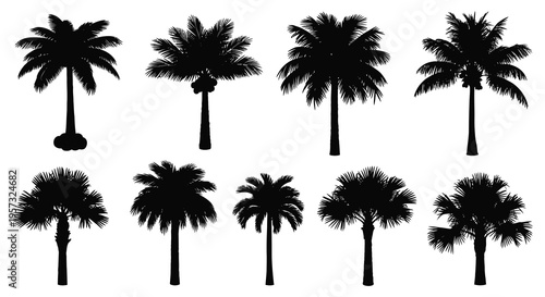 A collection of tropical palm trees depicted in striking black silhouettes against a white background silhouette high quality professional detailed modern