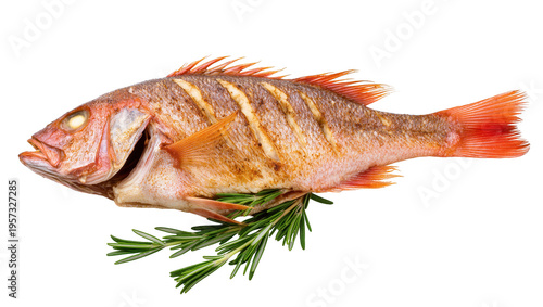 Fotografie Delicious roasted red snapper fish with fresh rosemary herb, perfectly cooked an