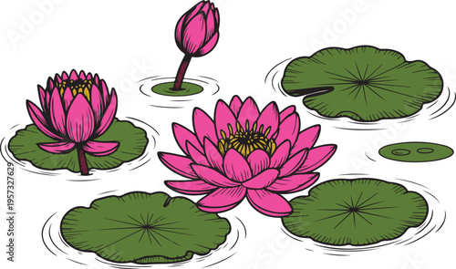 Three vibrant pink water lilies and green lily pads float gracefully on calm water ripples