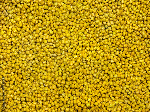 Tableau sur toile Close up of corn kernels texture in bright yellow color