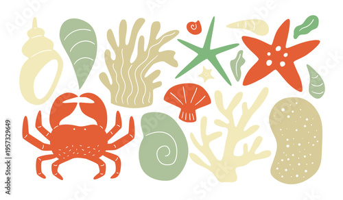Abstract flora and fauna, simple organic underwater life set. Modern silhouette elements, sea or ocean summer collection. Crab, coral, starfish, seaweed, sea shells illustration. For decoration, print