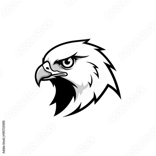 Bald eagle head illustration profile.