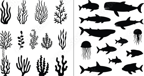 PrintBlack silhouette vector illustration of underwater plants, corals, sharks, whale, jellyfish, marine animals, ocean wildlife educational artwork composition
