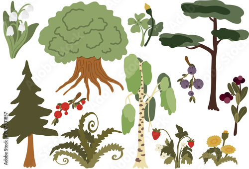 Forest plants. Trees, leaves, berries, flowers, woodland elements vector isolated set
