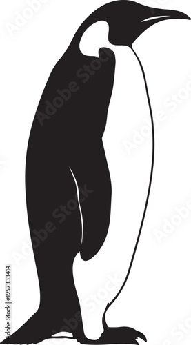 A collection of emperor penguins standing in various poses and groups.