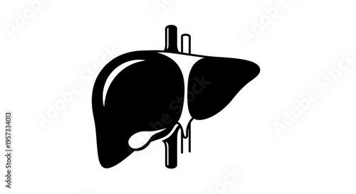 Black and white icon of a human liver with blood vessels, isolated on white background.