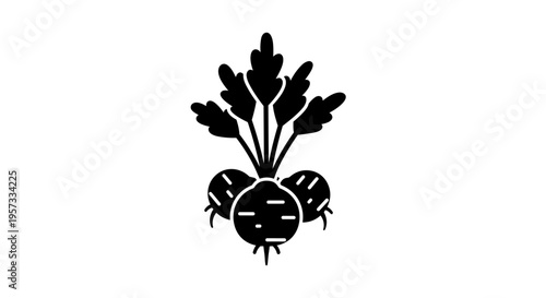 Beetroot Icon
