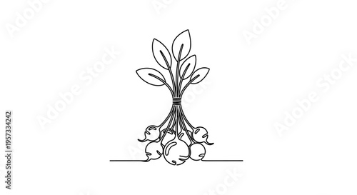 Single Line Drawing Of Radishes With Leaves