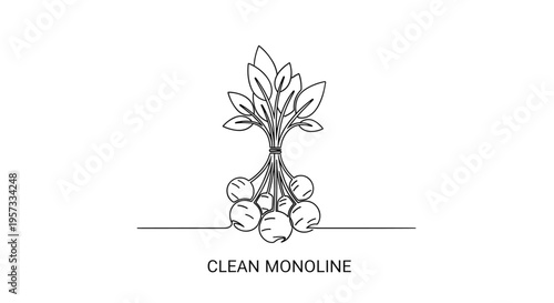 Monoline Radish Bunch