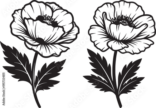 Two striking black and white illustrations of poppy flowers with detailed leaves. Bold, artistic botanical graphics representing nature's beauty on a clean white background