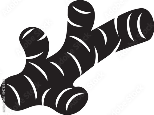 Ginger root black silhouette icon isolated on transparency grid background vector illustration