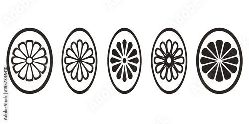 A sequence of five oval shapes displaying varying degrees of black and white floral petal patterns