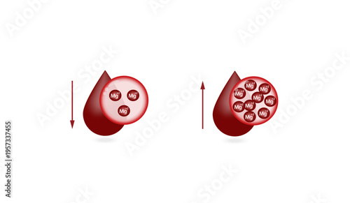 Hypermagnesemia, high plasma magnesium level and hypomagnesemia, low plasma magnesium level. magnesium Mg excess and deficit electrolyte disorders, blood test tube, Scientific vector illustration.