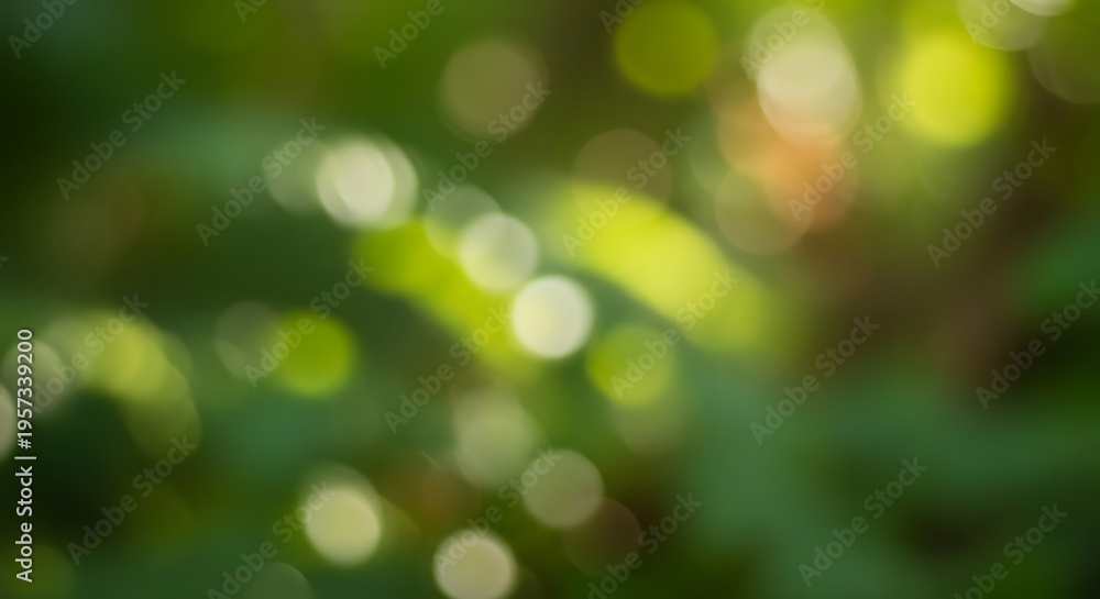Obraz premium Bright Green Bokeh Background with Sunlight Shimmers
