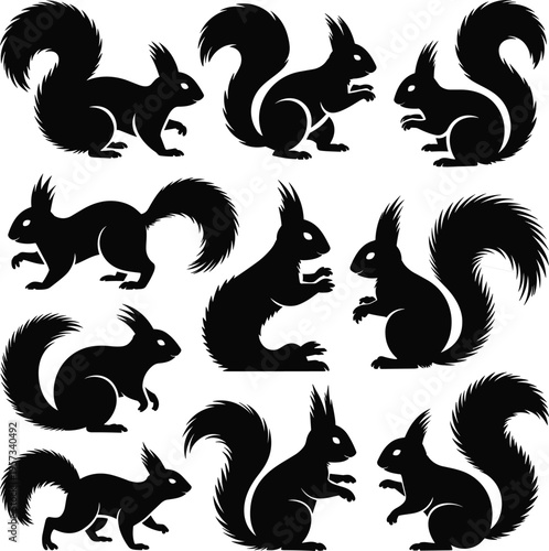 PrintSquirrel silhouette pattern design, wildlife animal illustration, forest nature artwork, rodent icon vector, woodland creature graphic,