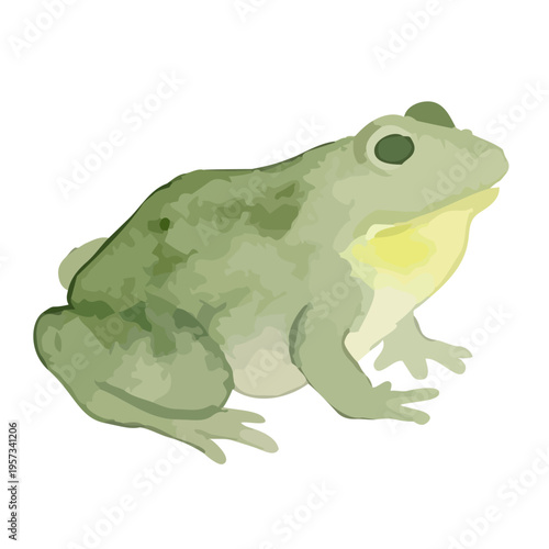 Watercolor-style fresh green frog illustration, amphibian on leaf, nature and rainy season／水彩　カエル