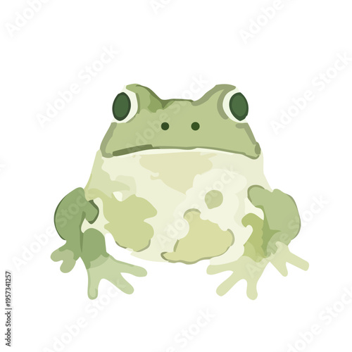 Watercolor-style fresh green frog illustration, amphibian on leaf, nature and rainy season／水彩　カエル