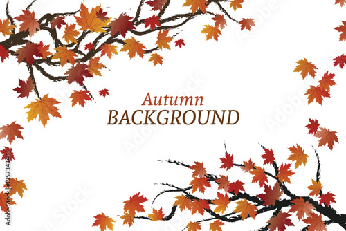 Stylish autumn foliage trees for environmental and eco friendly graphics vector