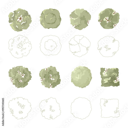 Tree for architectural floor plans. Entourage design. Various trees, bushes, and shrubs, top view for the landscape design plan. Vector illustration.