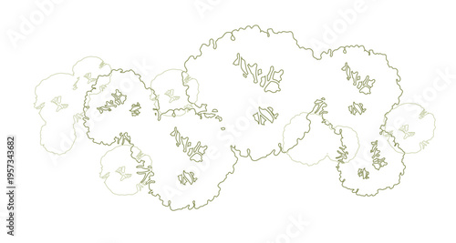 Trees for urban planning and architectural plans. Outline vector for landscape design and exterior entourage.