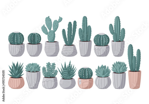 Collection of various potted cacti and succulents on a white background
