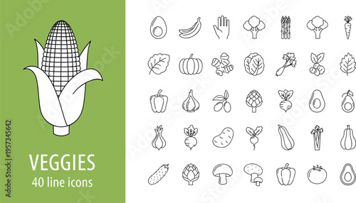 Isometric vector set of urban park elements including wooden benches a fountain street lamps picket fence shrubs and a portable toilet stall