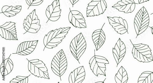 Collection of various leaf illustrations.