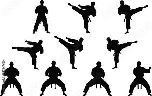 Karate and martial arts silhouettes showing kicking fighting and training poses isolated black vector illustration for sport fitness design use