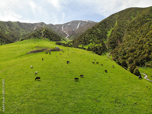 Small Herd Grazing On Emerald Slope, Scattered Animals Dotting Vibrant Pasture With Distant Stream