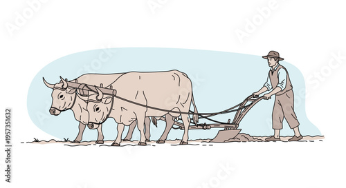 Man plowing field with two oxen.