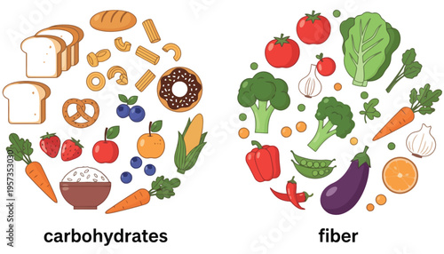 Carbohydrates and fiber rich food illustration for healthy eating guide